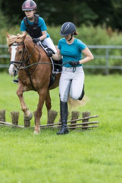Bild 51 - Pony Akademie Turnier